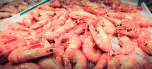 photo - Costco shrimp lawsuit