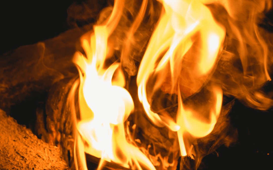 Save your businesses from fire hazards.