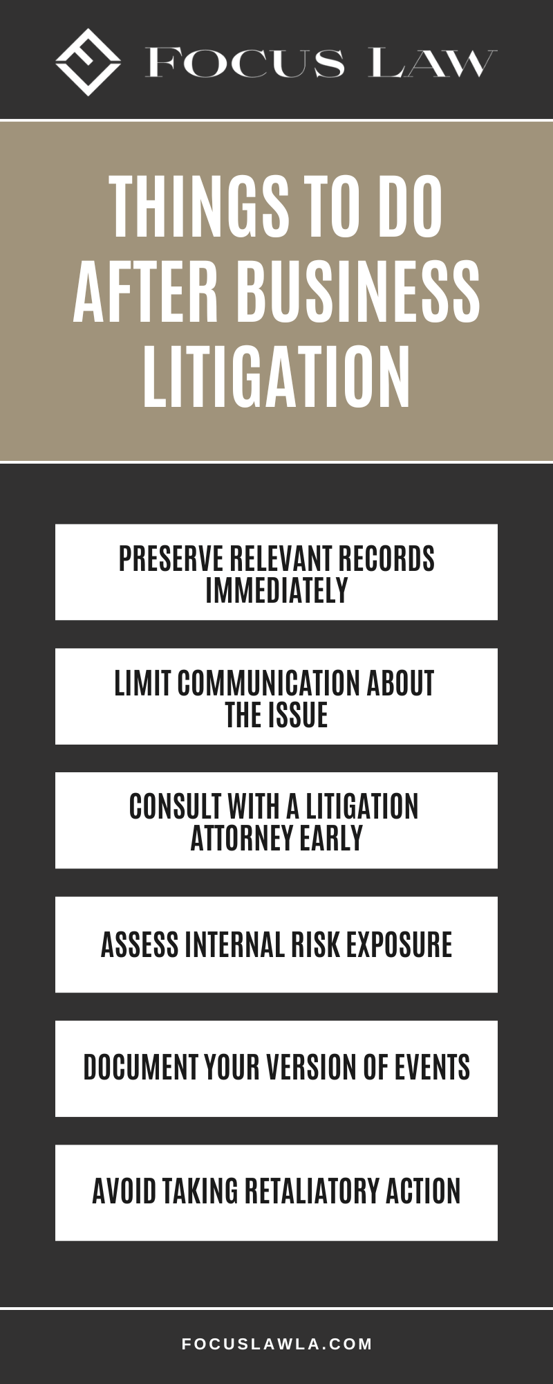 Things To Do After Business Litigation Infographic